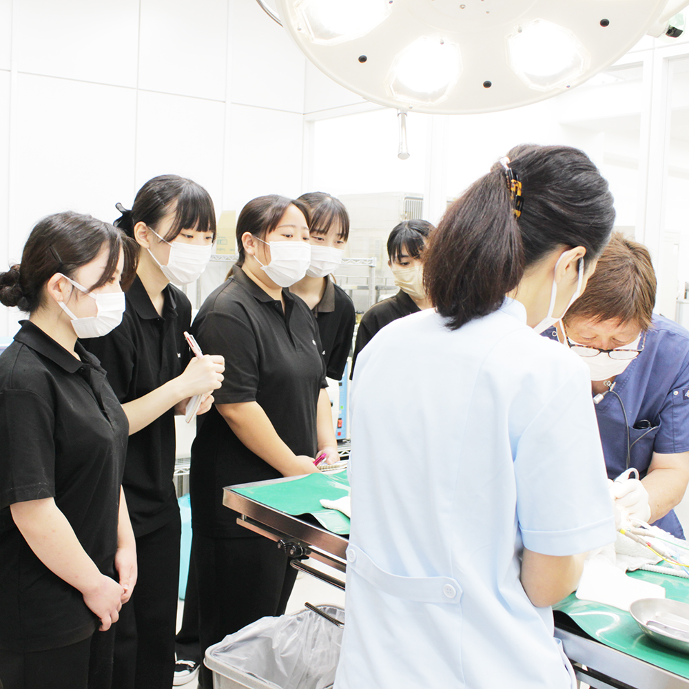 歯石除去処置のスキルアッププログラム☆